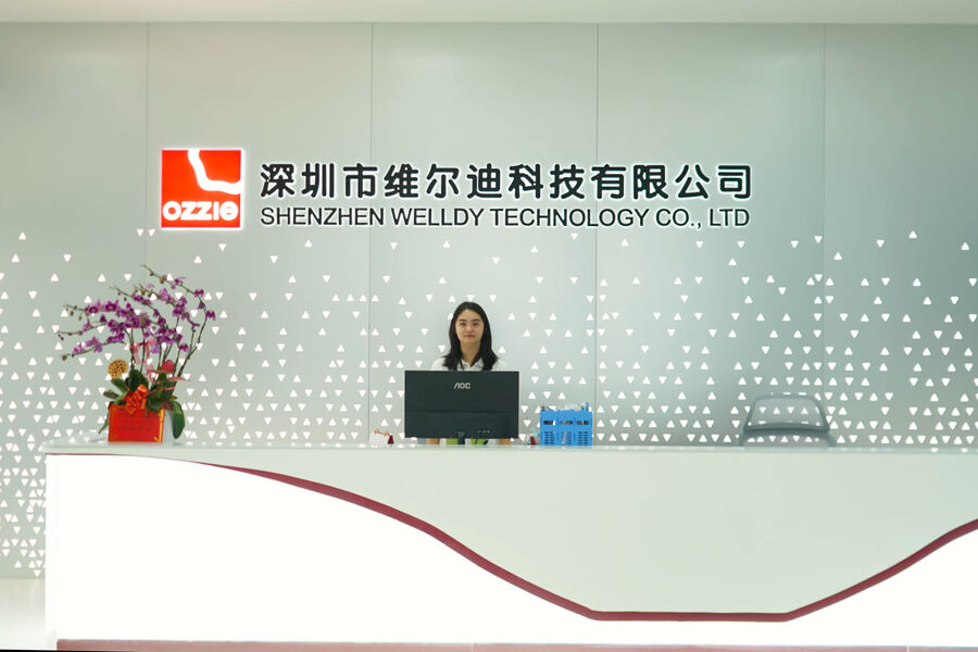 Shenzhen Welldy Technology Co., Ltd.