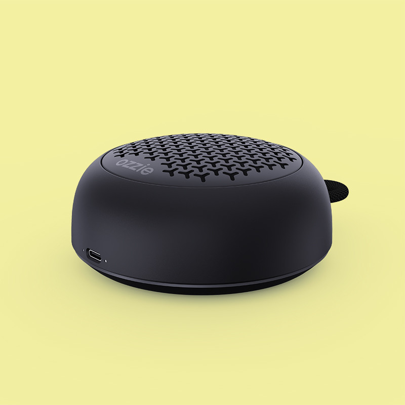 haut-parleur Bluetooth portable de 5 W avec charge DC5V/1A de type C 3.7V/800mAh