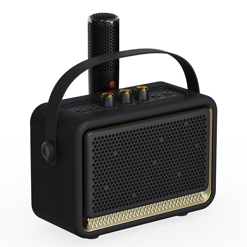 Home Gadgets 50w Surround Sound Wireless Speakers bluetooth Heavy Bass ODM bluetooth Karaoke Speaker with Wireless Mic