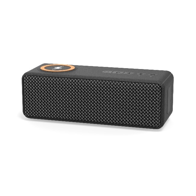 Haut-parleurs portatifs de 20W Bluetooth salut fi pour le téléphone portable chargeant la batterie de 7.4V 2000mAh